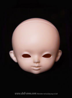 NEMO head