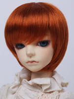 Wig W60-009