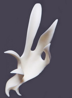 Uszy 1/3 - E-G-01