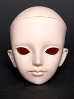 LOTUS head