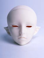 CELINE head