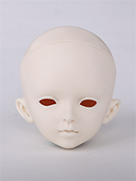 YAN head