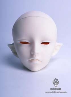 CELINE head