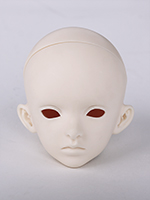 ANNIE head