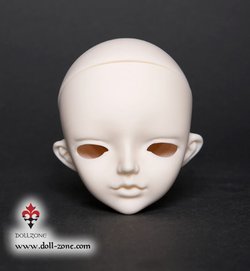 TINTAN head