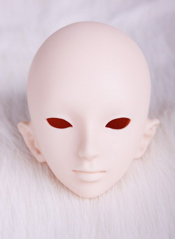 TULIP head
