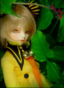 BEETTA-1 Fullset