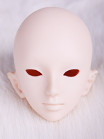 TULIP head
