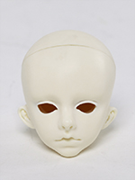 RAPHAEL head
