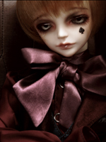 MEGI-4 Fullset