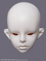HAZEL head