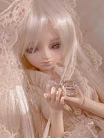 FELIAN-3