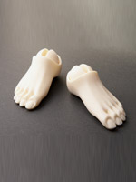 Feet F-B-70-01