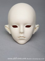 CLARE head