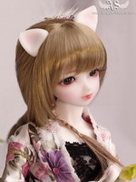 Peruka AS 1/4 - WG 42001