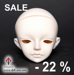 FEI head