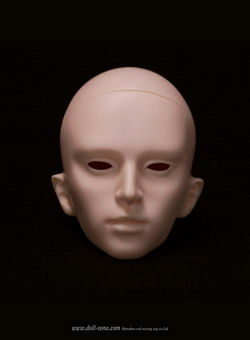 COSMO head