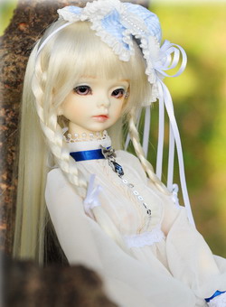 DOROTHY