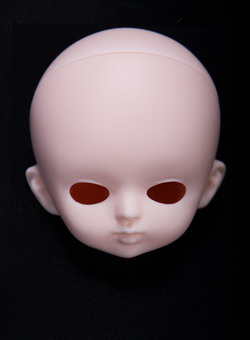 JANI head