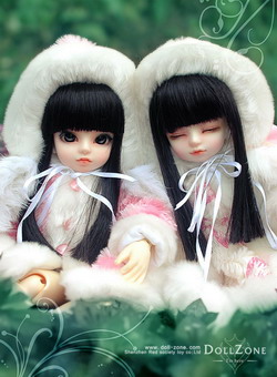 AMI + ANI Fullset