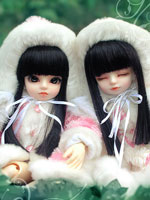 AMI + ANI Fullset