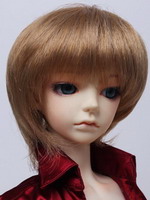 Wig DZ - w60-008
