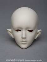 AURORA head