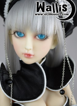 ID 1/4 - WALLIS - 45 cm
