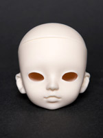 ANI head