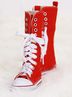 Shoes s60-020