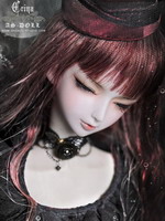 CARINA - Limitowana 62 cm