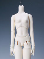 Girl body - b45-004 - small bust