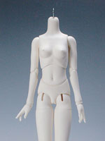 Girl body - b45-005 - large bust