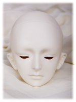 FRANCE head