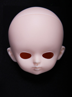JANI head