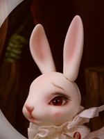 Rabbit KANE + fullset