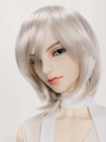 Wig w60-020B