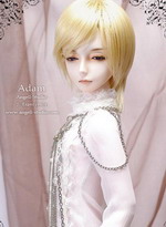 Wig WG34007